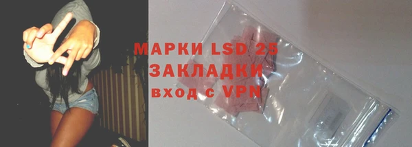 эйфоретик Вяземский