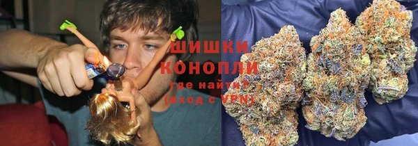 эйфоретик Вяземский