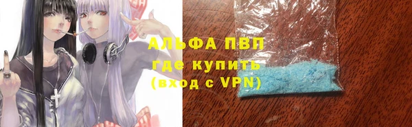 эйфоретик Вяземский