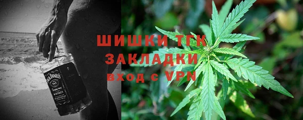 эйфоретик Вяземский