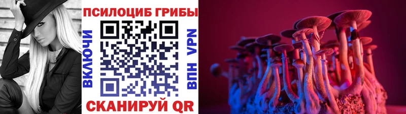 где можно купить   Дедовск  Галлюциногенные грибы мухоморы 