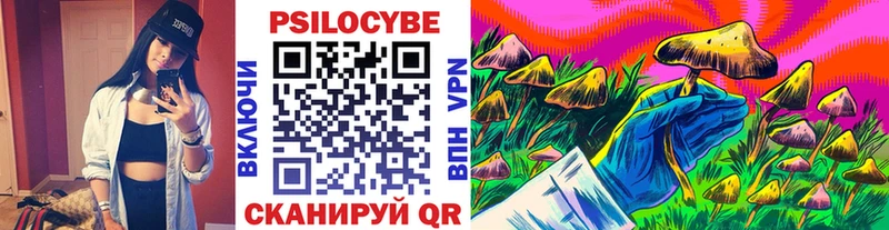 Псилоцибиновые грибы GOLDEN TEACHER Дедовск